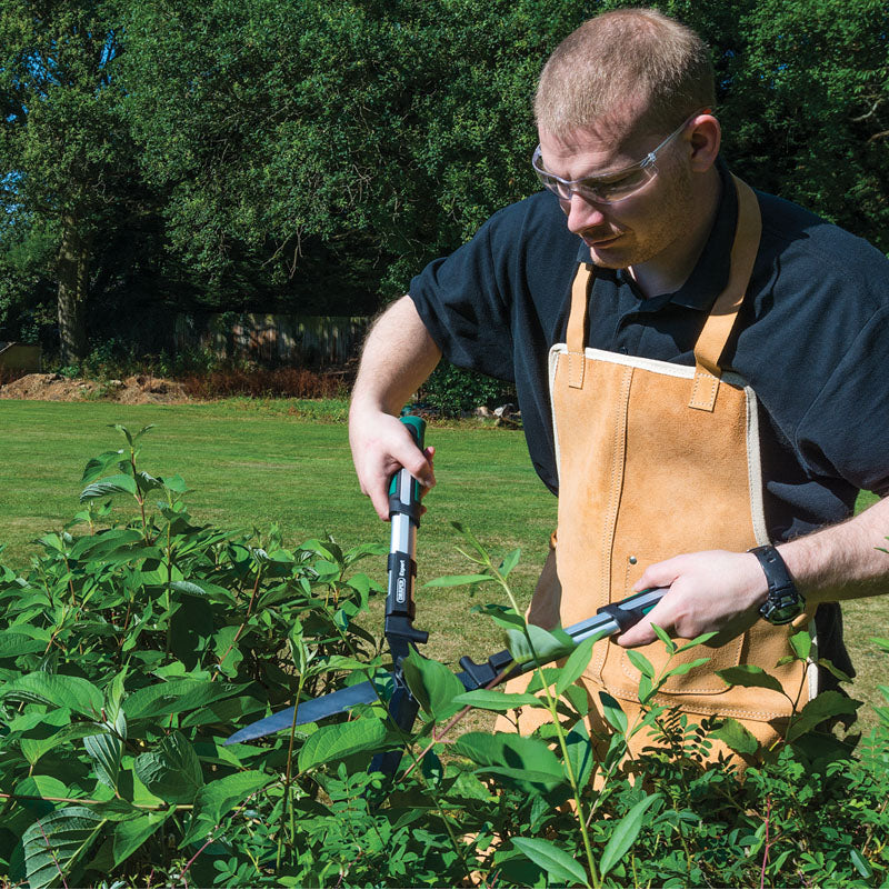 Draper leather work apron in tan, worn while trimming bushes with gardening shears.