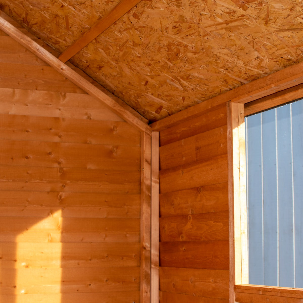 Shire Overlap Single Door Apex Value Shed