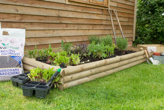 Image for Forest Bed Builder Pack - 204cm x 21cm