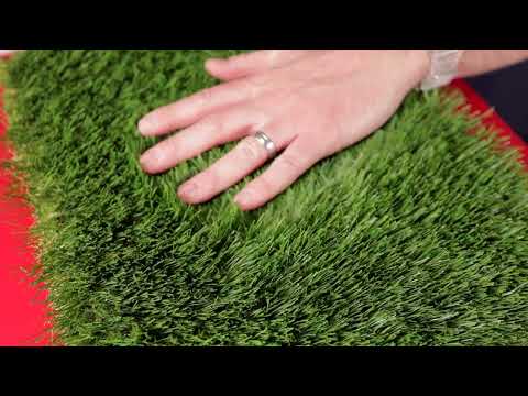 Wisdom 40mm Artificial Grass Sample - Bi-Colour Olive Green