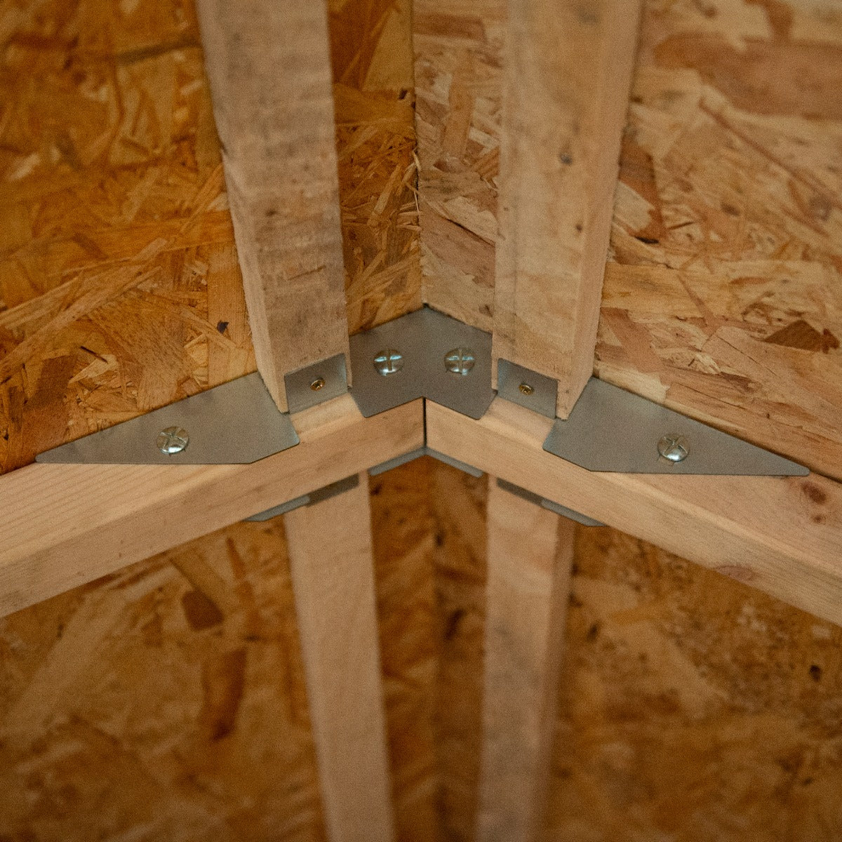 4LIFE 8x6ft Pressure Treated Overlap Reverse Apex Garden Shed